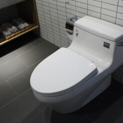 bon cau 1 khoi inax ac 1135vn aqua ceramic 1