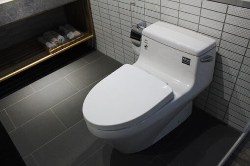 bon cau 1 khoi inax ac 1135vn aqua ceramic 1