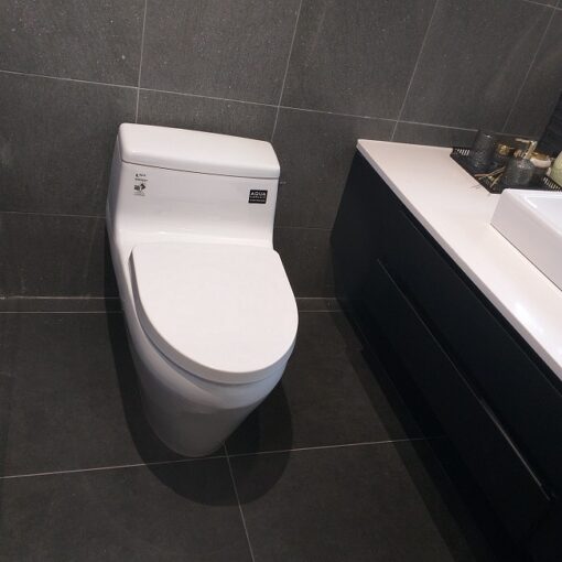 bon cau 1 khoi inax ac 1135vn aqua ceramic 2